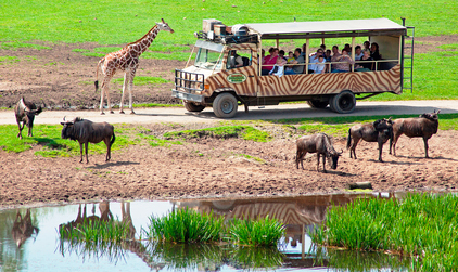Freizeitpars für Kleinkinder: Serengeti Safari